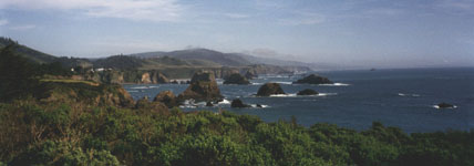 California1byMendocinoCo01thumb.JPG (16080 bytes)